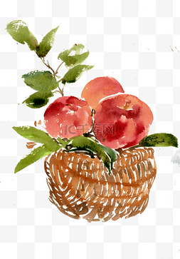 有机水果红富士图片_筐子里的苹果