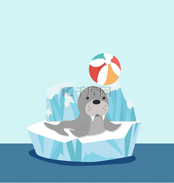 冰上的寒气图片_海狮在浮冰上的球