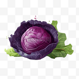 紫甘蓝卡通图片_手绘卡通蔬菜紫甘蓝