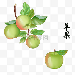 农产品果树果实苹果