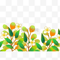 金边绿植花朵