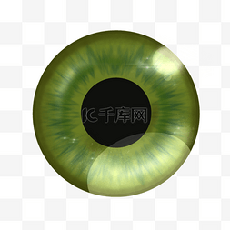 3d人眼球绿色