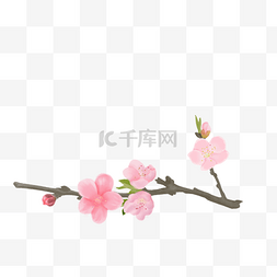 粉色花元素图片_水彩桃花