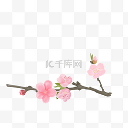 桃花人家图片_水彩桃花