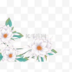 白色小花图片_国风白色昙花花朵
