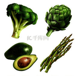 一组四种具有写实风格的蔬菜，配