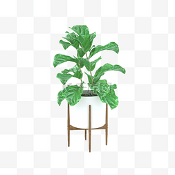 3D立体植物盆栽绿植三维植物模型