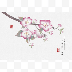 手绘桃花图片_中国水墨画艺术背景植物典雅的桃
