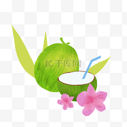 热带水果季图片_绿色椰子
