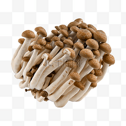 蟹味菇食用菌新鲜