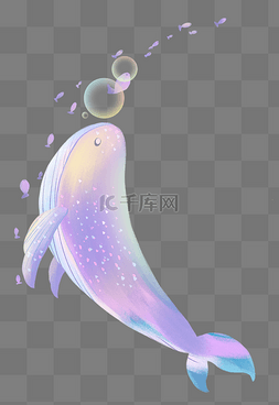 鲸鱼喷水花图片_鲸鱼海底生物