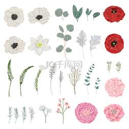 手绘水彩花卉矢量图片_收集花卉, 树叶和树枝。复古花卉