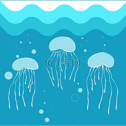 在蓝色海水背景中游泳的水母。