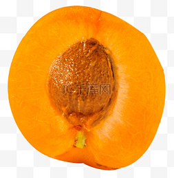成熟的黄杏图片_黄杏水果鲜果