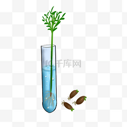 农业科技种植