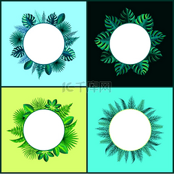 绿色框架圆图片_横幅模板和热带植物叶片套装空白