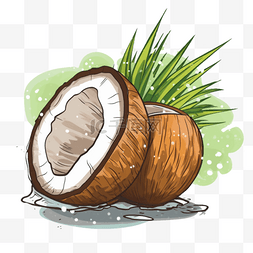 雨珠椰子图片_扁平插画手绘免抠元素椰子