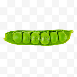 蔬菜豆子图片_绿色蔬菜豌豆