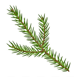 绿色复古圣诞节图片_杉木枝条的插图复古风格的手绘图