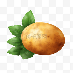 土豆炖粉条图片_土豆扁平插画手绘免抠元素