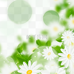 花光影图片_日光下的花朵春天光效花卉边框