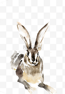 长耳朵的兔子水墨