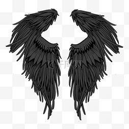 黑白风格天使羽翼翅膀素描线稿