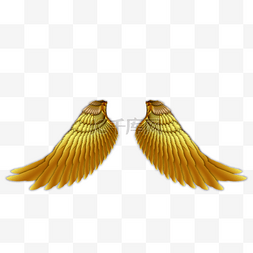 金属翅膀图片_向下张开金色翅膀