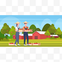 生态农业图片_一对农民拿着红熟苹果板条箱男女