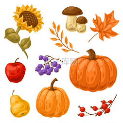 一套秋季植物时令蔬菜和树叶的收
