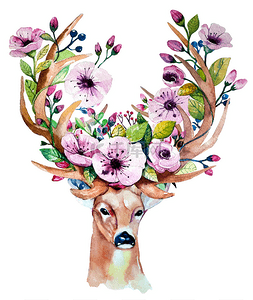 greeting图片_手画的鹿与花