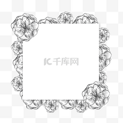 素描花卉方形边框
