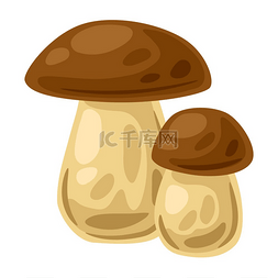 蘑菇插图时令秋季蔬菜的装饰形象