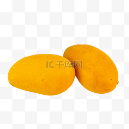 瓜果采摘图片_黄色水果芒果