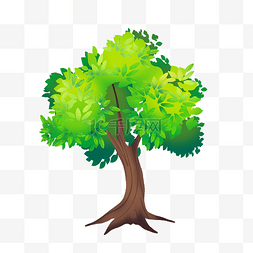 绿色大树 树木