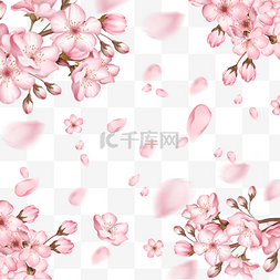 樱花光图片_春季光效粉色樱花边框花瓣飘落