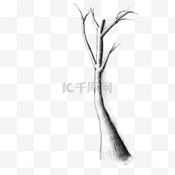 素描树图片_素描树木