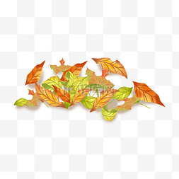 秋天季节落叶堆