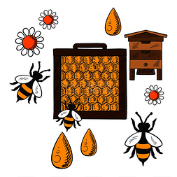 蜜蜂和蜂巢图片_养蜂概念以平面风格显示蜂箱、蜂