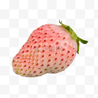 雪花金淡爽图片素材_淡雪草莓