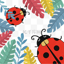 红色瓢虫昆虫植物春季边框