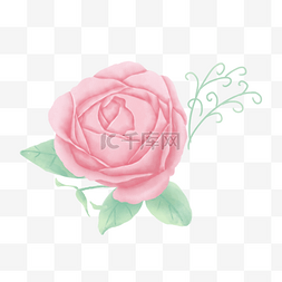 玫瑰花渐变图片_粉色渐变水彩花卉花朵绿色植物