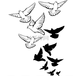 矢量图绘制图片_飞翔的鸽子背景。手工绘制的矢量
