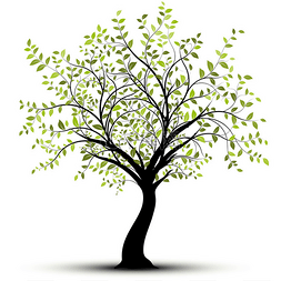 large图片_Green vector tree