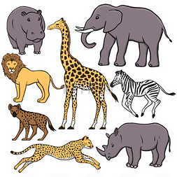 非洲的动物一组