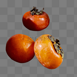 秋季水果柿子