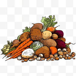 插画食材图片_食品果蔬薯类食材组合