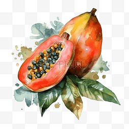 卡通手绘夏季水果木瓜