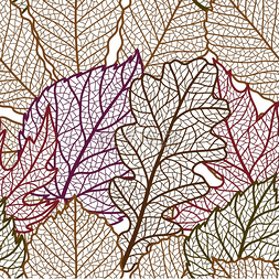 泪电天气下雨图片_无缝花纹与秋天的落叶。