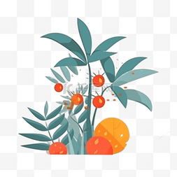 夏季植物扁平插画元素